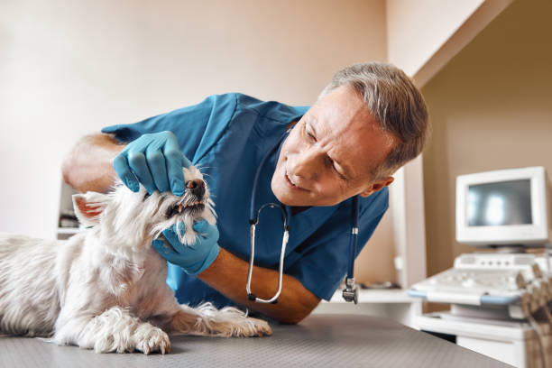 Best Emergency Dental Care for Abscessed Tooth in Selma, AL